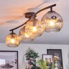 Ripoll ceiling light, globe light Amber, clear, Smoke-coloured, 4-light sources