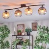 Ripoll ceiling light, globe light Amber, clear, Smoke-coloured, 4-light sources