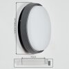 Duril outdoor wall light, wall light LED anthracite, 1-light source