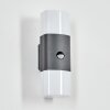 Felor outdoor wall light, Up & Down Light, wall light LED anthracite, 2-light sources, Motion sensor