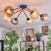 Koyoto ceiling light, globe light 77.5 cm Amber, clear, Smoke-coloured, 6-light sources