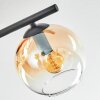 Koyoto ceiling light, globe light Amber, clear, Smoke-coloured, 4-light sources