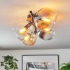 Koyoto ceiling light, globe light Amber, clear, Smoke-coloured, 4-light sources