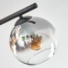 Koyoto ceiling light, globe light Amber, clear, Smoke-coloured, 4-light sources