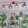 Ripoll ceiling light, globe light Amber, clear, Smoke-coloured, 4-light sources