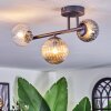 Chehalis ceiling light, globe light Amber, clear, Smoke-coloured, 3-light sources