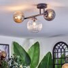 Chehalis ceiling light, globe light Amber, clear, Smoke-coloured, 3-light sources