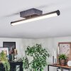 Fenol ceiling light LED black, 1-light source