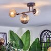 Chehalis ceiling light, globe light Amber, clear, Smoke-coloured, 3-light sources