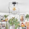Ripoll ceiling light, globe light clear, 1-light source