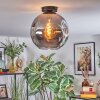 Ripoll ceiling light, globe light Smoke-coloured, 1-light source