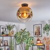 Ripoll ceiling light, globe light gold, clear, 1-light source