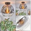 Ripoll ceiling light, globe light clear, Smoke-coloured, 1-light source
