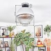 Koyoto ceiling light, globe light 30 cm clear, Smoke-coloured, 1-light source
