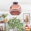 Ripoll ceiling light, globe light coppery, 1-light source