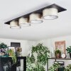 Falor ceiling light LED black, 1-light source