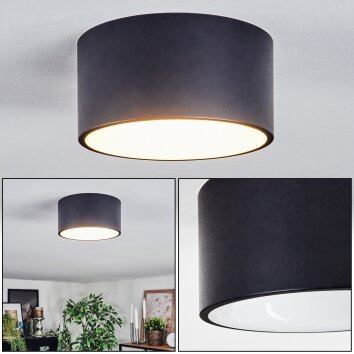 Falor ceiling light LED matt white, 1-light source