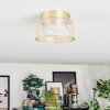 Folar ceiling light LED gold, 1-light source