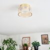 Folar ceiling light LED gold, 1-light source