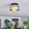 Folar ceiling light LED black, 1-light source