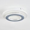 Lidor ceiling light LED grey, white, 1-light source