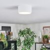 Falor ceiling light LED white, 1-light source