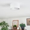 Falor ceiling light LED white, 1-light source
