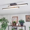 Fenol ceiling light LED black, 1-light source