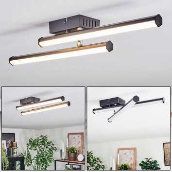 Fenol ceiling light LED black, 1-light source