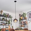Koyoto hanging light, globe light, pendant light clear, Smoke-coloured, 1-light source