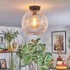 Ripoll ceiling light, globe light clear, 1-light source