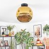 Ripoll ceiling light, globe light gold, 1-light source