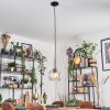 Koyoto hanging light, globe light, pendant light 20 cm clear, 1-light source