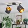 Alsen ceiling light, ceiling spotlight black, 2-light sources