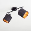 Alsen ceiling light, ceiling spotlight black, 2-light sources