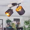 Alsen ceiling light, ceiling spotlight black, 2-light sources