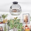 Ripoll ceiling light, globe light clear, Smoke-coloured, 1-light source