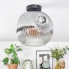 Ripoll ceiling light, globe light clear, Smoke-coloured, 1-light source