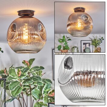Ripoll ceiling light, globe light clear, Smoke-coloured, 1-light source