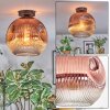 Ripoll ceiling light, globe light clear, coppery, 1-light source