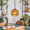 Koyoto hanging light, globe light, pendant light 20 cm gold, clear, 1-light source