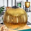 Koyoto hanging light, globe light, pendant light 20 cm gold, clear, 1-light source