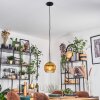 Koyoto hanging light, globe light, pendant light 20 cm gold, clear, 1-light source