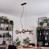 Gastor hanging light, globe light, pendant light Amber, clear, Smoke-coloured, 8-light sources