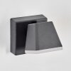 Fanel outdoor wall light, wall light, wall spotlight LED anthracite, 1-light source