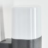 Felor outdoor wall light, Up & Down Light, wall light LED anthracite, 2-light sources