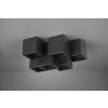 Trio FERNANDO Ceiling Light black, 6-light sources