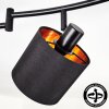 Alsen ceiling light, ceiling spotlight black, 6-light sources