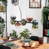 Gastor hanging light, globe light, pendant light blue, green, clear, coppery, 8-light sources