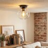Ripoll ceiling light, globe light clear, 1-light source